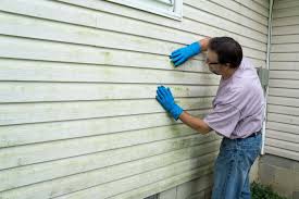 Best Siding Replacement  in Moweaqua, IL